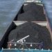 India’s thermal coal imports rise