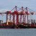VOC Port in Thoothukudi sees growth in edible oil handling