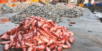 Seafood exports Riding high tide