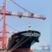 For The First Mainline Direct Call To Europe From VOC Port In Twenty Years, The MSC Ship Docks At DBGT