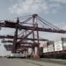 Massive Blanking Of Sailings Has Supported Freight Rates As Demand Collapses
