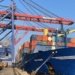 APM Terminals Pipavav consolidated net profit jumps 80% to INR 593 million in Q1FY23