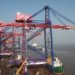 APM Terminals Pipavav”s board approves Rs 700 cr expansion plan