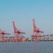 Gujarat Pipavav Port Ltd financial performance for the quarter and year ended March 31, 2017