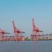 APM Terminals Pipavav adds Maersk FM3 service