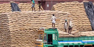 AP WAREHOUSING CORPN TO DOUBLE STORAGE CAPACITY