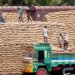 AP WAREHOUSING CORPN TO DOUBLE STORAGE CAPACITY