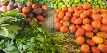 University of Birmingham and Haryana govt ink MoU for sustainable cold chain