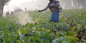 Bangladesh inks fertilizer deal with Russia