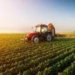 South Africa’s Farm Exports Are an Economic Lifeline – With Weak Spots