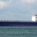 Sinokor sells panamax quartet to MSC for 700% plus profit