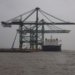 Sudden surge in volumes takes Bharat Mumbai Container Terminals off guard