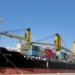 FFFAI webinar on opportunities on INSTC and Shahid Beheshti Port