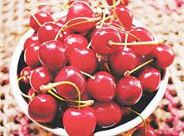 Pakistan to export cherries to China