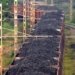 Domestic coal production should substitute coal imports