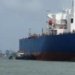 Kochi Port celebrates 50 years of container operations