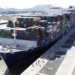 CEPA increases connectivity between India & UAE