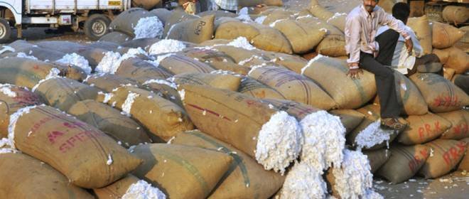 CCI looks to boost cotton exports to Bangladesh, Vietnam