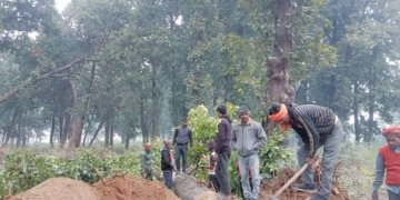 Dodhara Chandani dry port project gets approval to use forest land