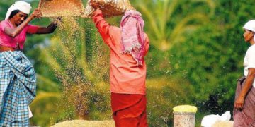 INDIA MAY EXPORT RICE TO CHINA
