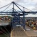 Strike disrupts operations at Felixtowe Port again