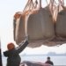 Indian insurers create fertilizer pool