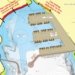 Transhipment facility at Galathea Bay will transform SMP