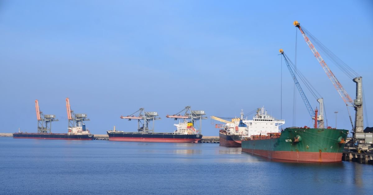 Adani Gangavaram Port sets timber log handling record