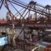 Freight rates, box prices continue to rise