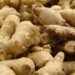 Nepali ginger farmers face plunging prices as virus hits exports