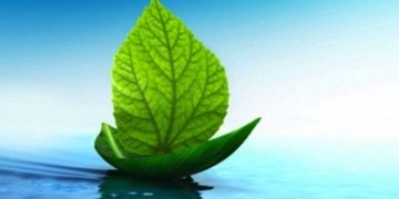 Decarbonising Ports, Shipping & Logistics