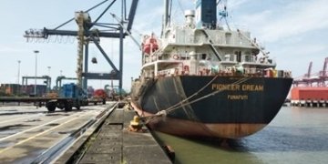 MMRDA launches longest steel deck on Mumbai-Trans Harbour Link
