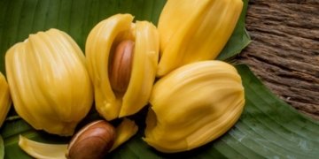 Sri Lanka to strengthen jackfruit exports