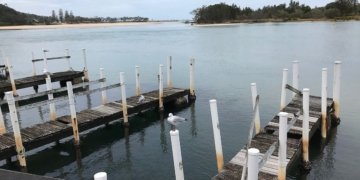ROPAX jetty project comes up on the Dhamra river in Odisha