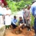 TREE PLANTATION DRIVE AT SADA JUNCTION