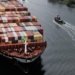 MSC inks the UN Global Compact Sustainable Ocean Principles