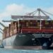 European box lines increase reefer capacity, MSC secures top spot