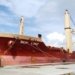 Cargo ship from Maldives makes maiden call at Kochi Port