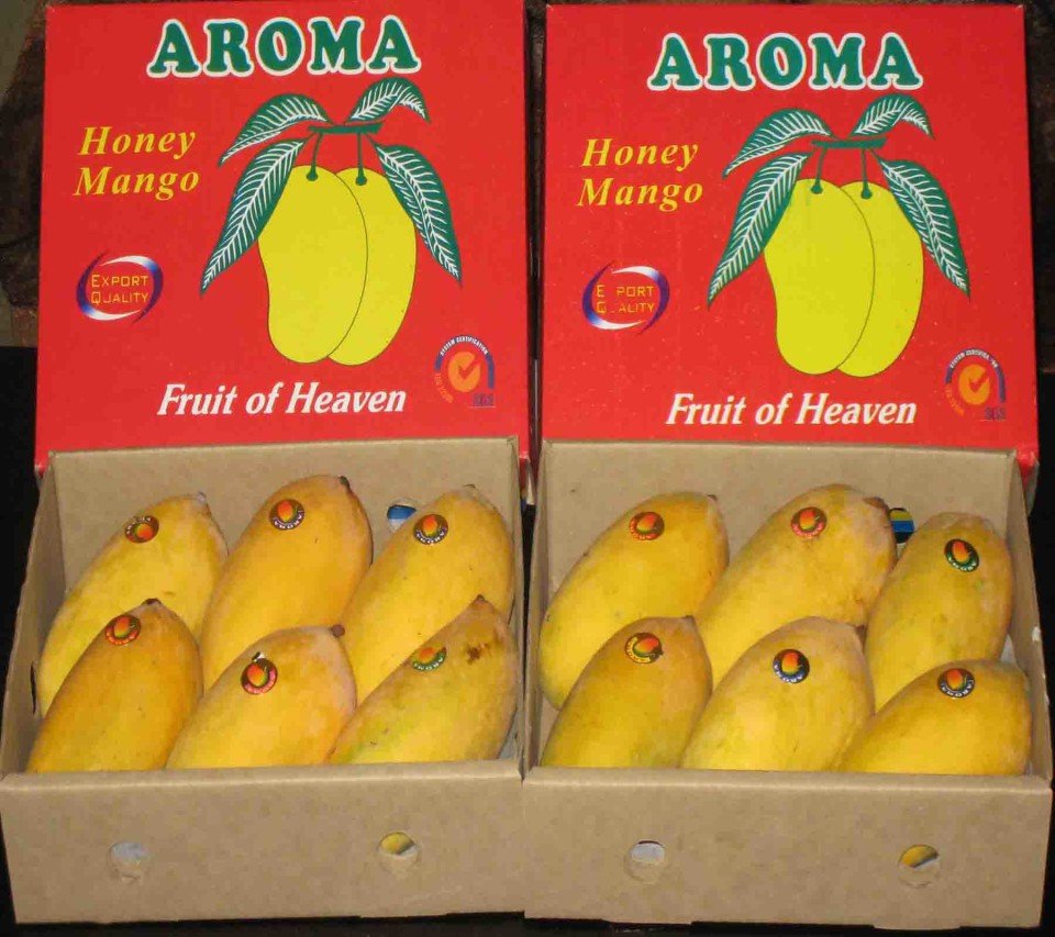 Mango exports from Nashik rise