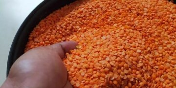 Masoor dal imports soar