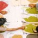 MYANMAR STRUGGLING TO MEET BEAN SHIPPING TARGET TO INDIA