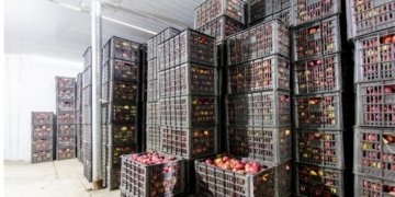 Rural cold-chain firm New Leaf Dynamic Technologies raises ₹6.15 crore in seed funding