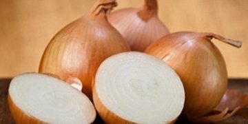 Centre to procure 2 lakh tonnes onion