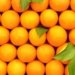 Bangladesh increases duty on orange imports from India