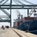 Market challenges delay PSA expansion at India’s JNPT