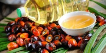 5 major palm oil importers from Asia form alliance