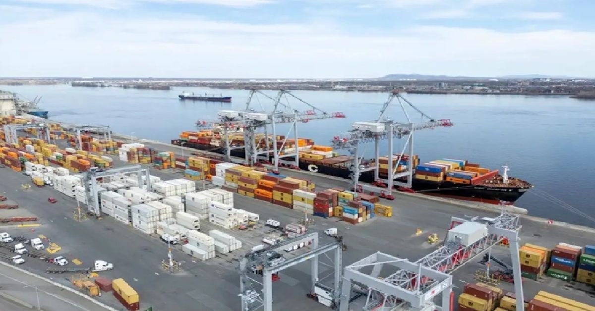India tightens the P&I cover verification procedure for ships