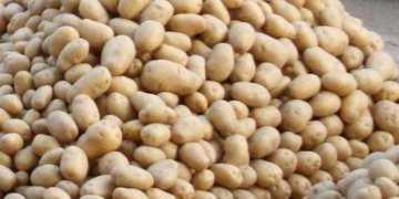 Potatoes to be routed to Odisha from UP via rail
