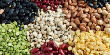 East Africa leads in pulses exports to India