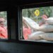 Postal department offers express cargo services in Karnataka